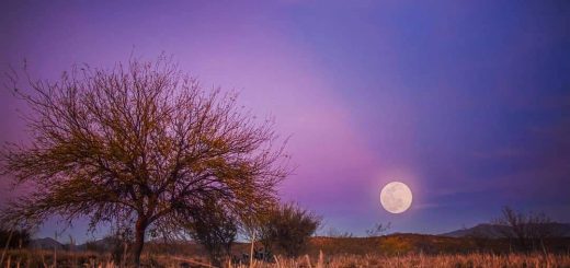 La Luna desde la Sierra de Sonora - Cortesía instagram.com/julianvalenciac_