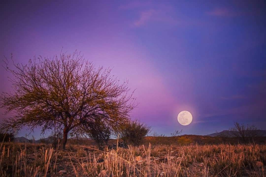 La Luna desde la Sierra de Sonora - Cortesía instagram.com/julianvalenciac_