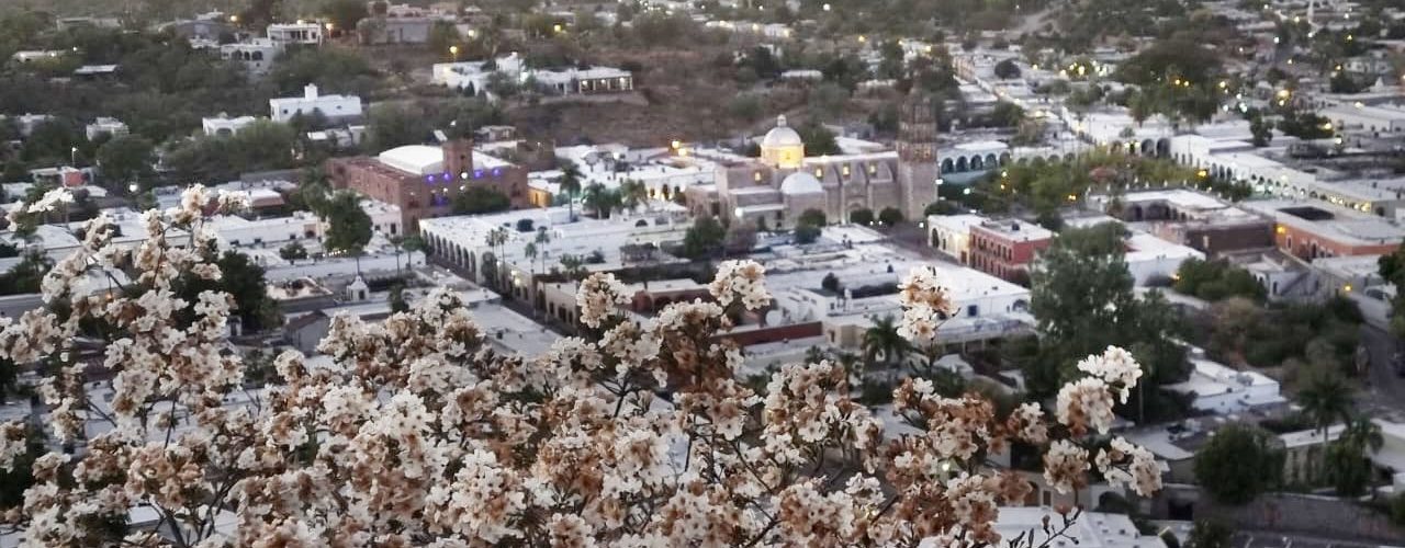 Turismo en Sonora: Una puerta al desarrollo de la región serrana