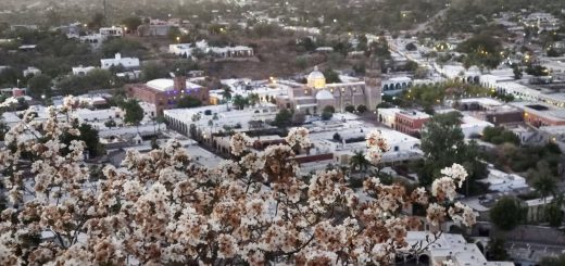 Turismo en Sonora: Una puerta al desarrollo de la región serrana